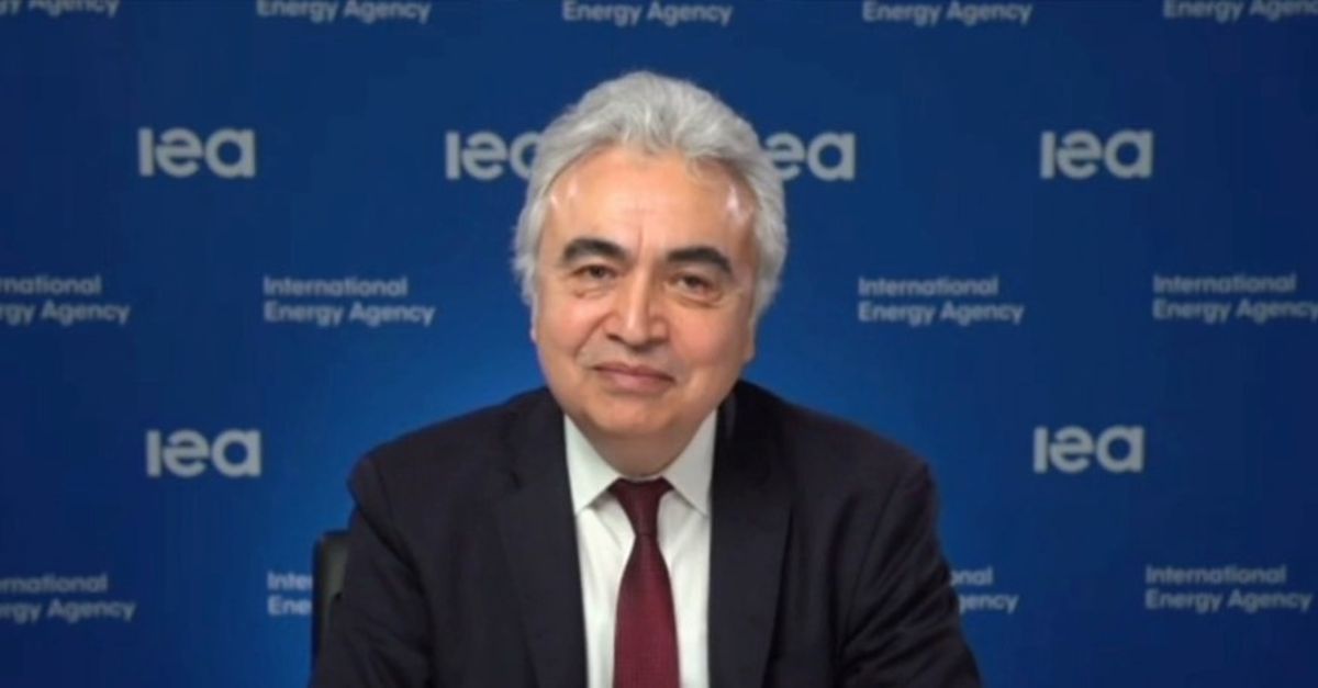 UEA/Birol: Nükleer enerji Türkiye için olmazsa olmaz