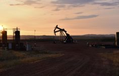 OPEC+ petrol üretimini artırmayı planlıyor