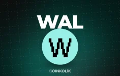 Walrus (WAL) nedir?