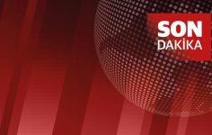 Son dakika: Yılın en yüksek seviyesi! Mayıs ayı konut satışında 5 aylık rekor