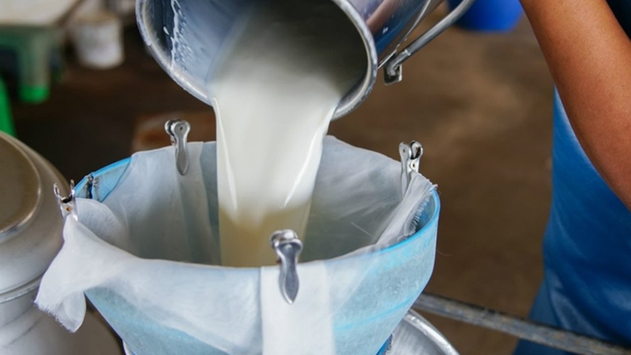 Çiğ süt fiyatına zam: Litre başına net 18,35 TL