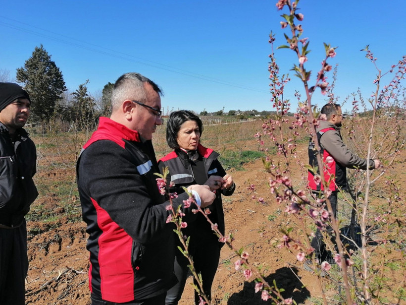 Adana’da Zirai Don Zararına Karşı Hızlı Destek: 9 Binden Fazla Üreticiye 717 Milyon TL Ödeme Başladı