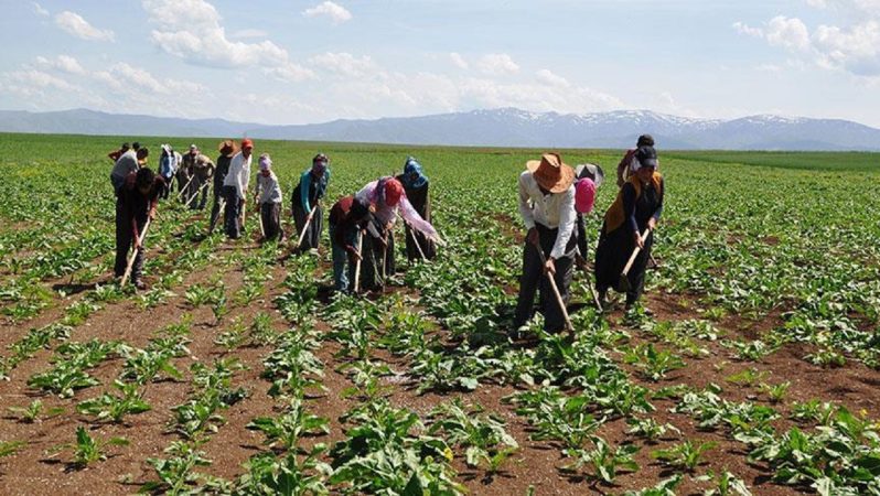 Dünya Gıda Günü: El Ele Vererek Daha Sağlıklı Beslenme ve Güvenli Gıda İçin Stratejiler