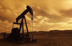 EIA Güncellemesi: 2025-2026 Petrol Fiyatları ve Stok Görünümü