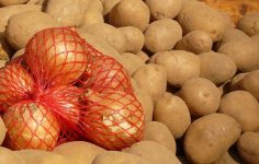 Niğde’de Kışlık Patates Hasadı ve Üretici Sorunları: Fiyat Dengenlemesi ve Girdi Maliyetleri Tartışması
