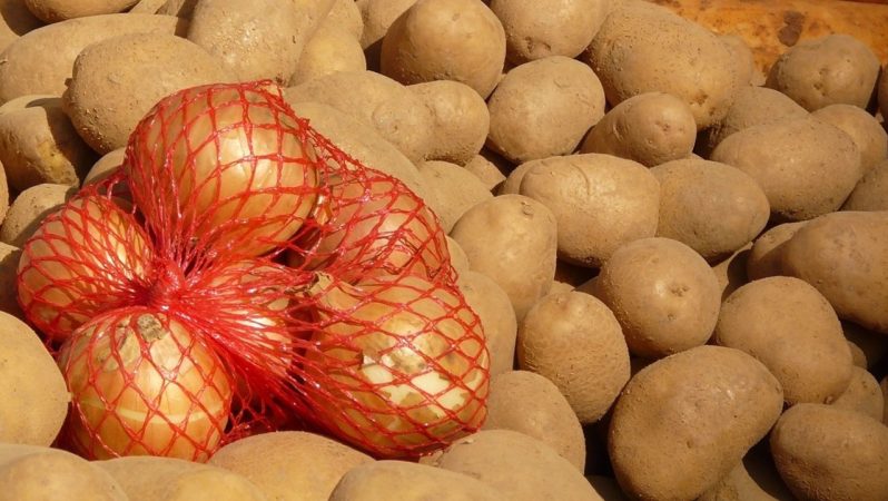 Niğde’de Kışlık Patates Hasadı ve Üretici Sorunları: Fiyat Dengenlemesi ve Girdi Maliyetleri Tartışması