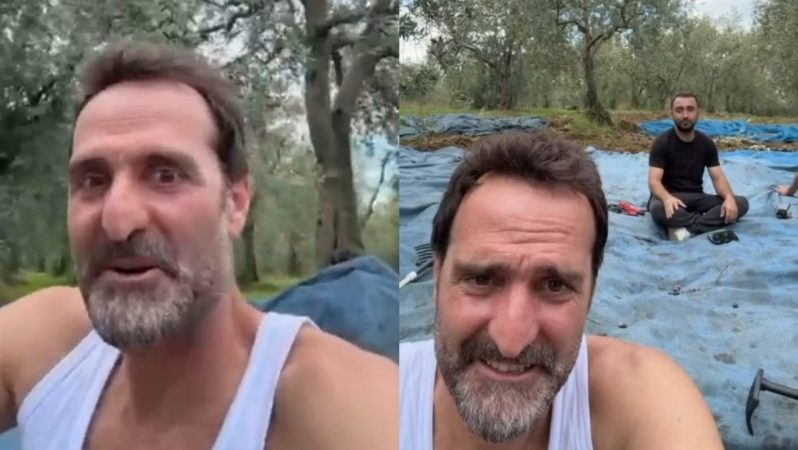 Timur Acar İznik’teki Zeytinlikte İlk Hasatını Eksiksiz Paylaşıma Taşıdı