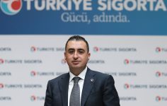 Türkiye Sigorta ve Türkiye Hayat Emeklilik 2025 İlk 9 Ayı: Net Kar Rekorları ve Büyüme Trendleri