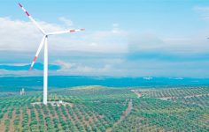 Enerji Dönüşümünde Kadın Gücü ve Yerli Kapasiteye Odaklanan Enerjisa Üretim Stratejisi