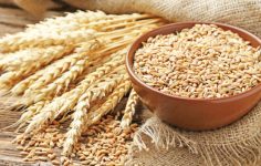 2025 Tarımsal Verimlilik: Zirai Don, Kuraklık ve Fiyat Dalgalarıyla Gelen Büyük Çatışma