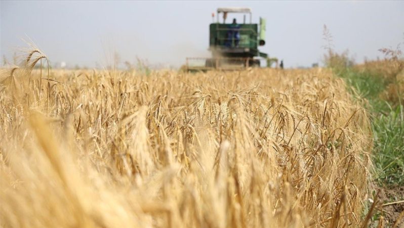 AARIENEA Başkanlığına Türkiye’den İlk Kez Seçilen Girişim ve Tarım Diplomasisinde Yeni Dönem