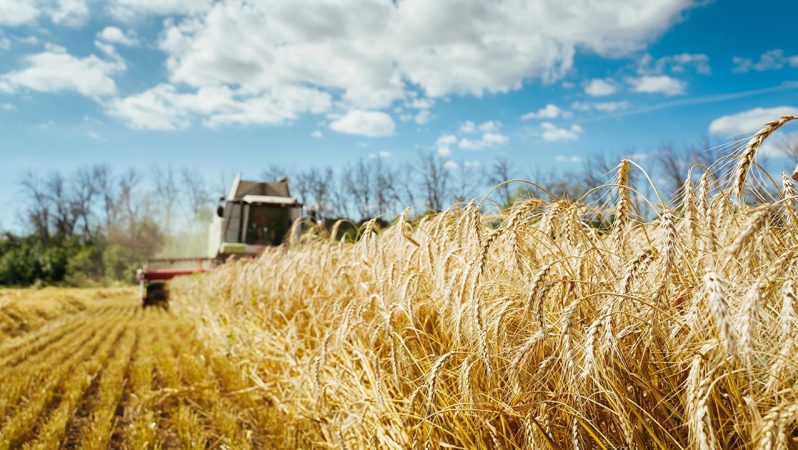 ÇKS Son Başvuru Günü ve Zirai Don Sonrası Destekler: TZOB Teklifleri ve Uygulama Gelişmeleri