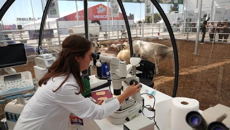 Geleceğin Tarımı: Gençler ve Yapay Zeka ile Dönüşüm Rüzgârı