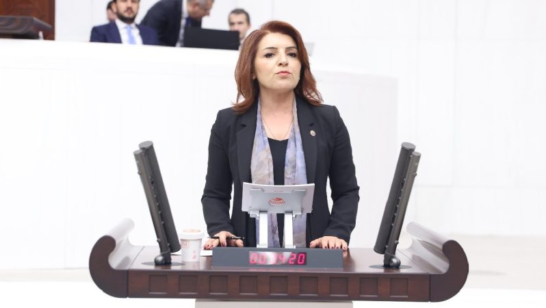 Gülcan Kış: Enerji Fiyatlarındaki Artış ve Akkuyu Gündemi