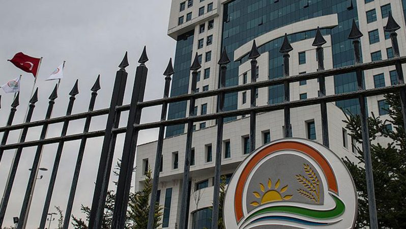 Halk Elinde Islah Projeleriyle Tarımda Verimlilik ve Yerli Genetik Güvence