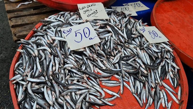 Hamsi Bereketinin Son Günleri: Fiyatlarda Dalgalı Seyir Devam Ediyor