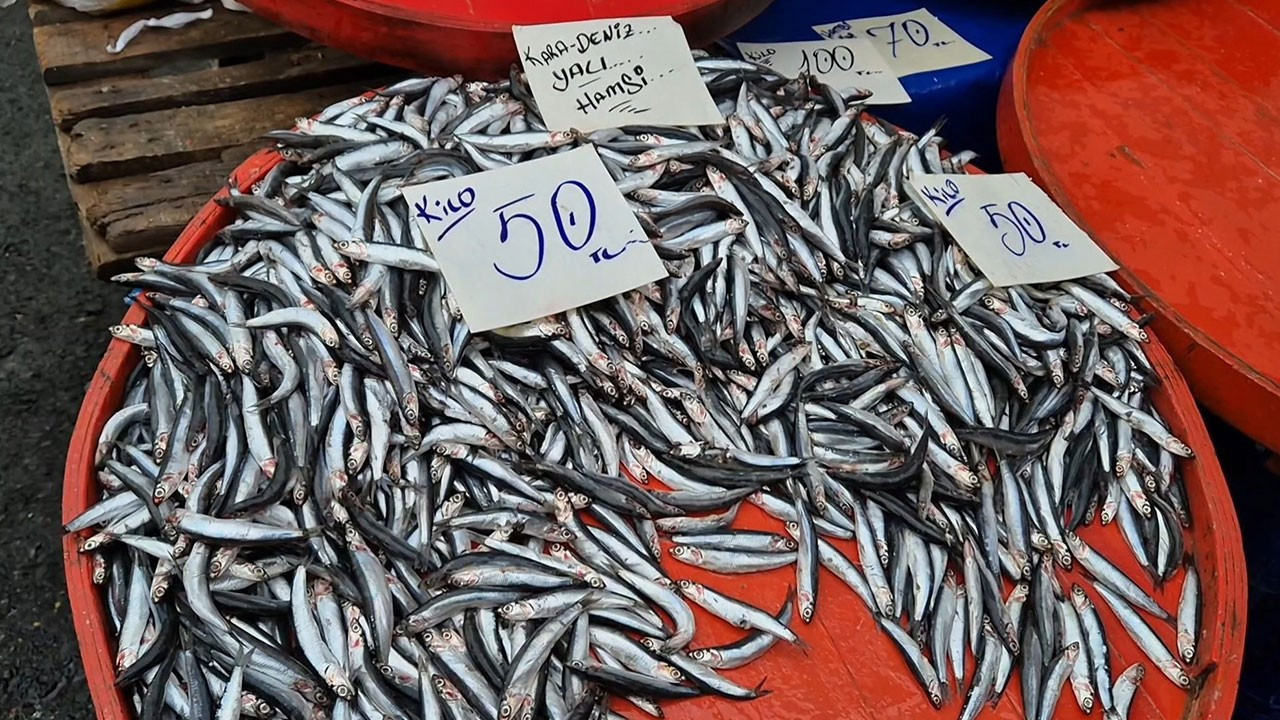 Hamsi Bereketinin Son Günleri: Fiyatlarda Dalgalı Seyir Devam Ediyor