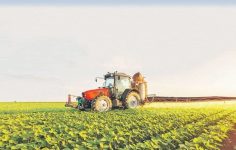 Tarım-GFE Ekim 2025: Maliyet Artışında Yıllık Yükseliş ve Alt Grup Sıralaması