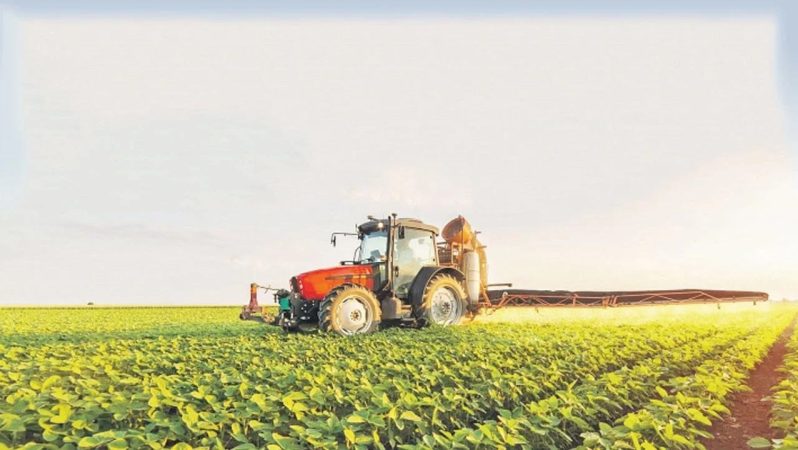 Tarım-GFE Ekim 2025: Maliyet Artışında Yıllık Yükseliş ve Alt Grup Sıralaması