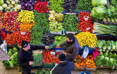Antalya Hallerinde Aralık 2025 Hal Endeksleri: Miktar Artışına Karşı Fiyatlarda Farklı Yönler