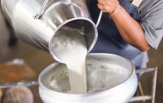 USK Fiyat Belirleme Rutininin Gecikmesi ve TÜSEDAD’ın Talepleri: Çiğ Sütte 2026 İçin Yeni Fiyat Stratejisi