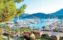 Yeşil Pasaport İçin Savunulan Yol: Seyahat Acenteleri ve Tur Operatörlerinin Uluslararası Hareketliliği