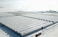 Ağrı Diyadin’de Jeotermal Isıtmalı Sera Organize Tarımına 1 Milyar TL Yatırım ve 36 Bin Ton Kapasite