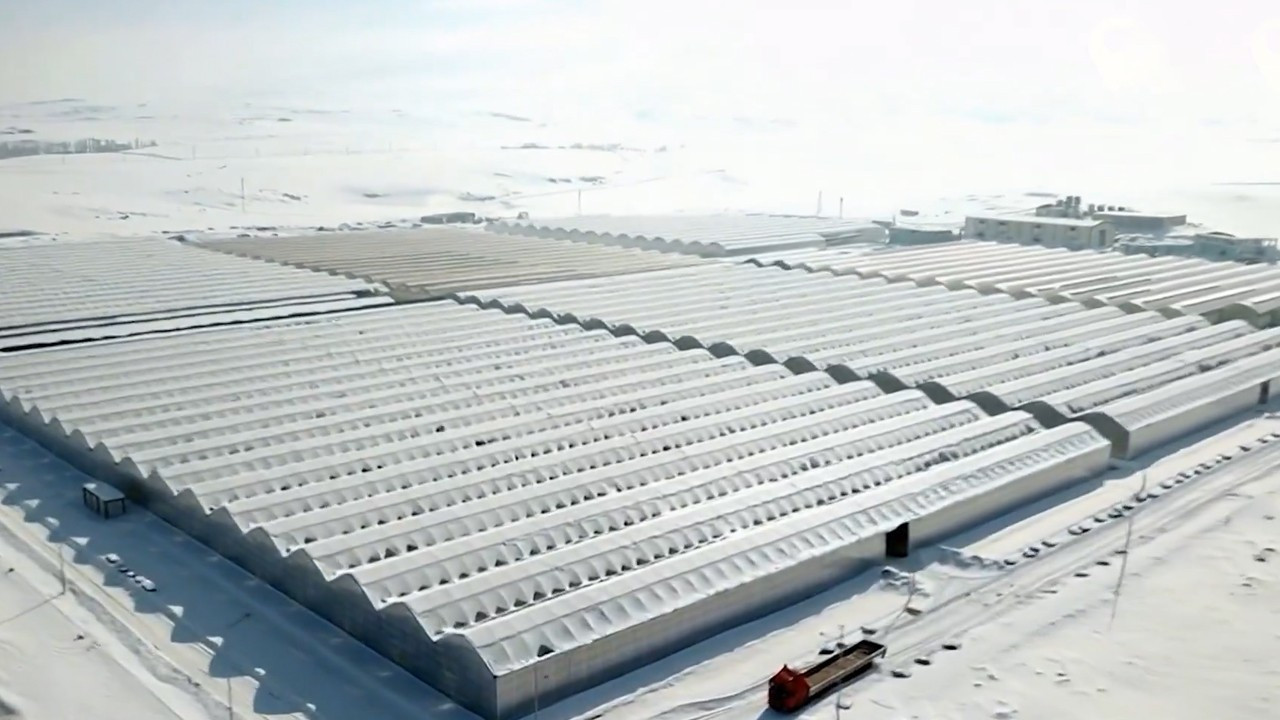 Ağrı Diyadin’de Jeotermal Isıtmalı Sera Organize Tarımına 1 Milyar TL Yatırım ve 36 Bin Ton Kapasite