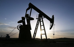 MAPEG Kararına Göre TPAO Hisselerinin BOTAŞ’a Devri ve Ruhsat Süresinde Uzatma