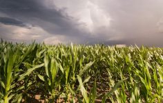 Yağışlar Barajları Doldurdu, Göllerde Canlanma: Türkiye’de Su Kaynaklarında Yeni Seviye