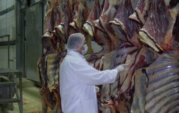 Et ve Et Ürünlerinde Fiyat Oynaklığına Karşı Sıkı İzlem: 33 Şüpheli Hakkında Gözaltı