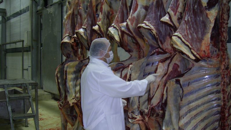 Et ve Et Ürünlerinde Fiyat Oynaklığına Karşı Sıkı İzlem: 33 Şüpheli Hakkında Gözaltı