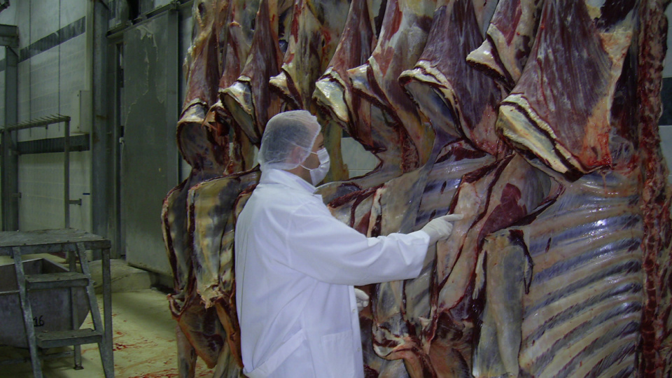 Et ve Et Ürünlerinde Fiyat Oynaklığına Karşı Sıkı İzlem: 33 Şüpheli Hakkında Gözaltı