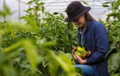 Kırsal Kalkınmada Yeni Dönem: 65,5 Milyar TL’lik Yatırım ve Kadın Çiftçiler İçin Artan Destekler