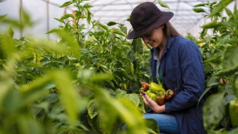 Kırsal Kalkınmada Yeni Dönem: 65,5 Milyar TL’lik Yatırım ve Kadın Çiftçiler İçin Artan Destekler