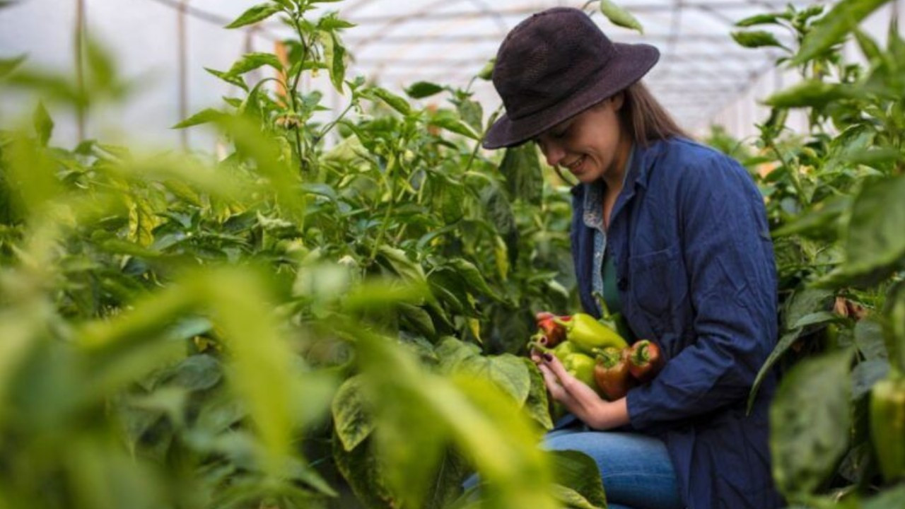 Kırsal Kalkınmada Yeni Dönem: 65,5 Milyar TL’lik Yatırım ve Kadın Çiftçiler İçin Artan Destekler