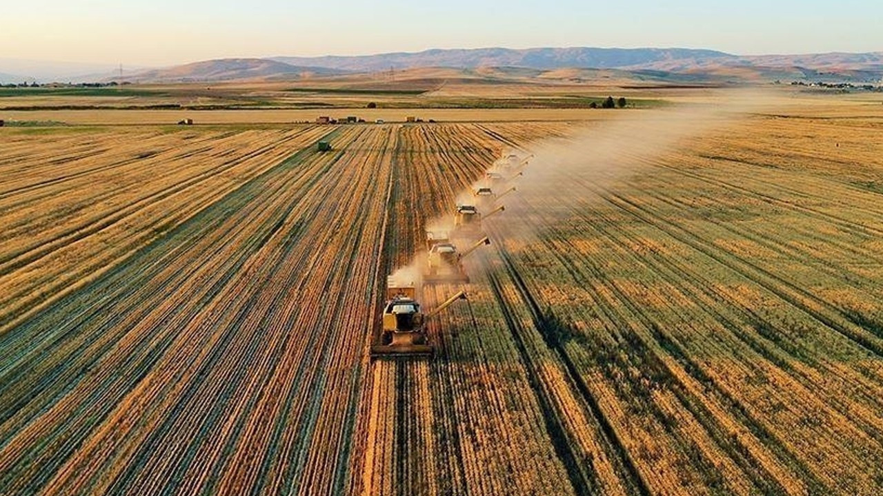 Türkiye’de Su ve Tarım Yılı Yağışları: 2026 Gelişmeleri ve Bölgesel Trendler