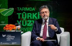 Türkiye’nin Gıda Arz Güvenliği ve Tarımsal Destekler: Bölgesel Gelişmeler Karşısında Hazırlık ve Tedbirler