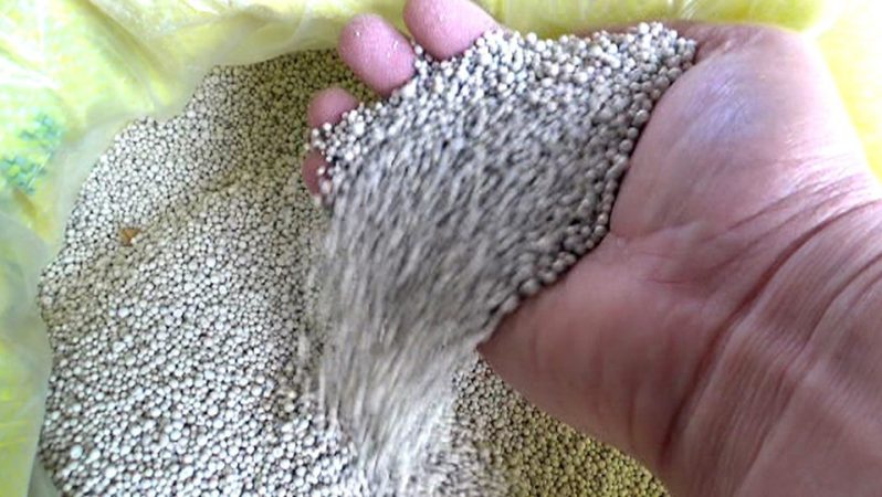 Çinli Şirketler Zimbabwe’de Kömürden Gübre Üretim Tesisi ve Elektrik Santrali İçin Büyük Yatırım Ağırlığında