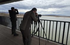 Doğa Koruma ve Milli Parklar Uzmanlığına Giriş: Yarışma Sınavı ve Yeterlik Süreci