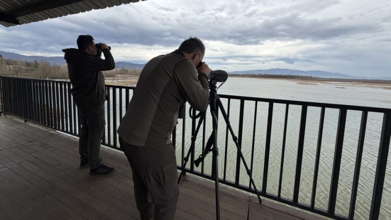 Doğa Koruma ve Milli Parklar Uzmanlığına Giriş: Yarışma Sınavı ve Yeterlik Süreci