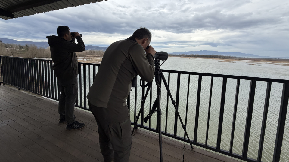 Doğa Koruma ve Milli Parklar Uzmanlığına Giriş: Yarışma Sınavı ve Yeterlik Süreci