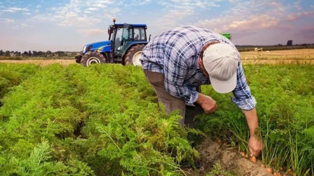 Kırsal Kalkınmada Dev Yatırım: Hibe Destekleri ve İstihdamdaki Artış