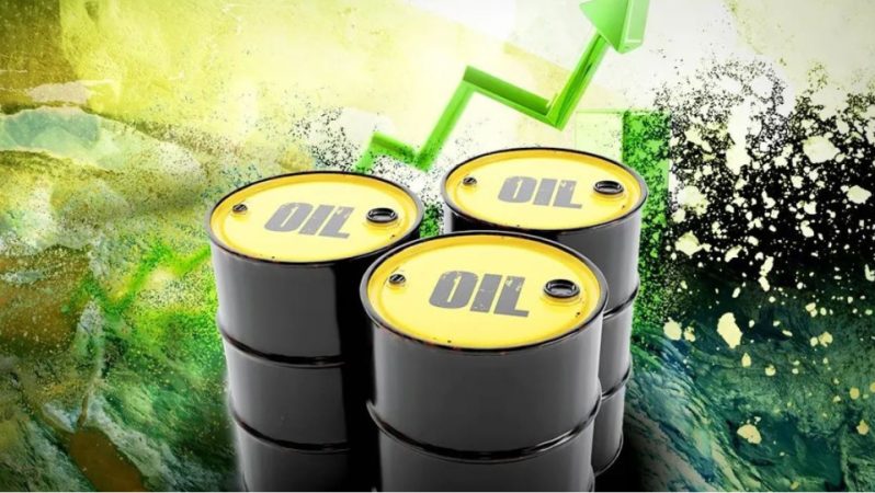 ABD Enerji Enformasyon İdaresi Verileriyle Petrol Stoklarında Son Haftaya Ait Güncel Değerlendirme