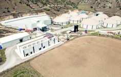 ARFYE’nin 2026 I. Çeyrek Finansal Devrimi: Hasılatta Büyük Sıçrama, Net Kârlılıkta Dönüşüm