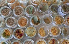 Ata Tohumlarının Ekosistem Dayanıklılığı ve Geleneksel Gastronomiyle Bütünleşen Genetik Mirası