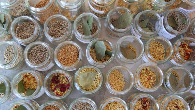 Ata Tohumlarının Ekosistem Dayanıklılığı ve Geleneksel Gastronomiyle Bütünleşen Genetik Mirası