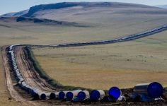 Bloomberg Businessweek Türkiye: Piyasalarda Yeni Haber Akışı ve Stratejik Rezervler