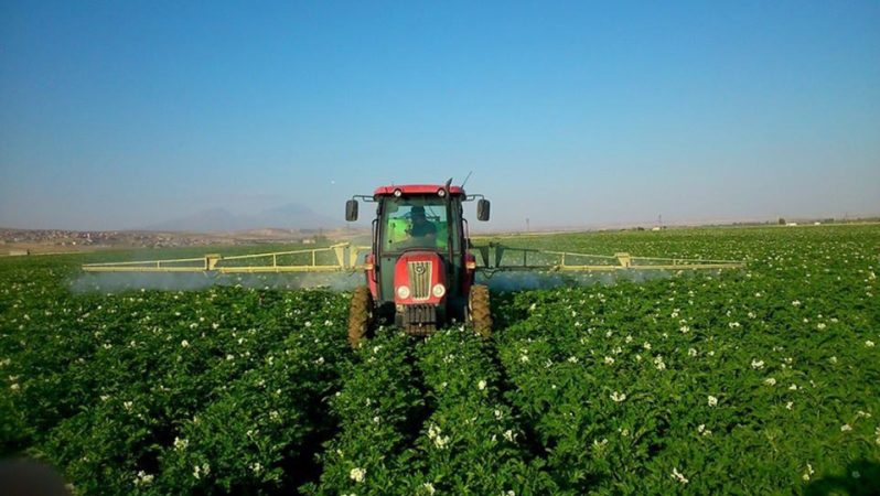 Tarım-GFE Mart Ayı: Girdi Fiyatlarında Yıllık ve Aylık Artışlar Detaylandı