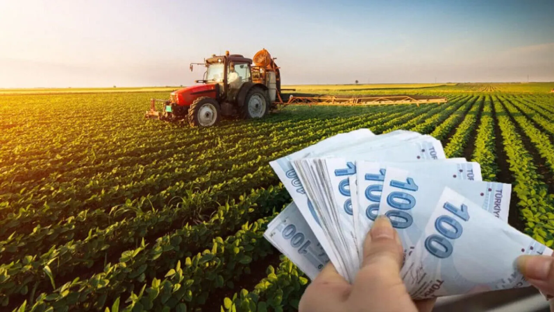 Tarım ve Orman Bakanlığı Destek Ödemleri: İlk Çeyrekte 2,9 Milyon Çiftçinin Yüzünü Güldüren Dağıtımlar